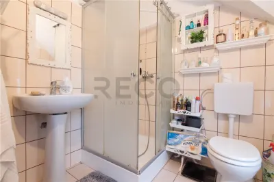 RECO Vila 5 camere, zona Grigorescu, curte mare si garaj - foto 16