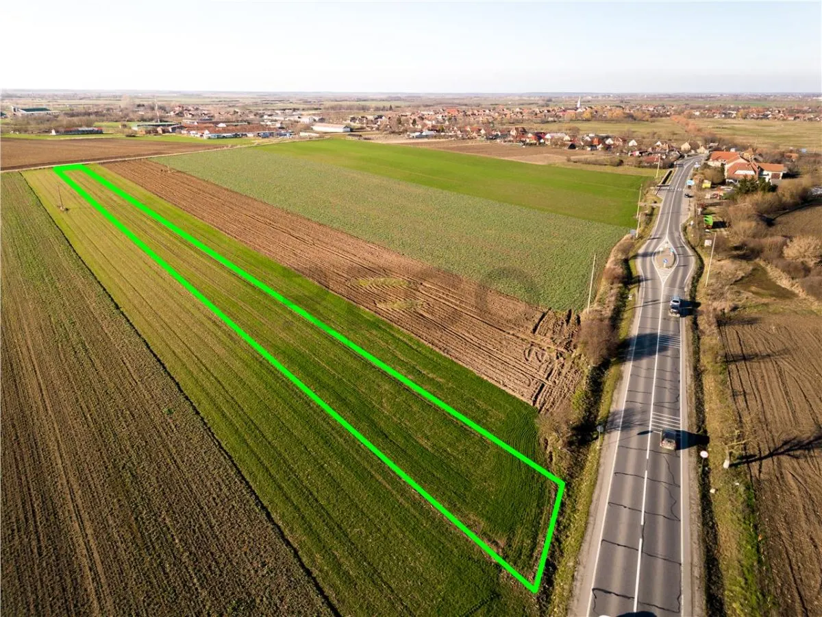 RECO teren 5000mp cu deschidere la DN19 Tamaseu - foto 2