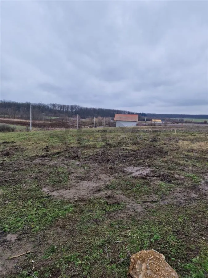 RECO Teren intravilan cu proiect de casa in Pausa. - foto 1