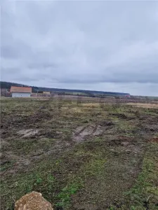 RECO Teren intravilan cu proiect de casa in Pausa. - foto 2