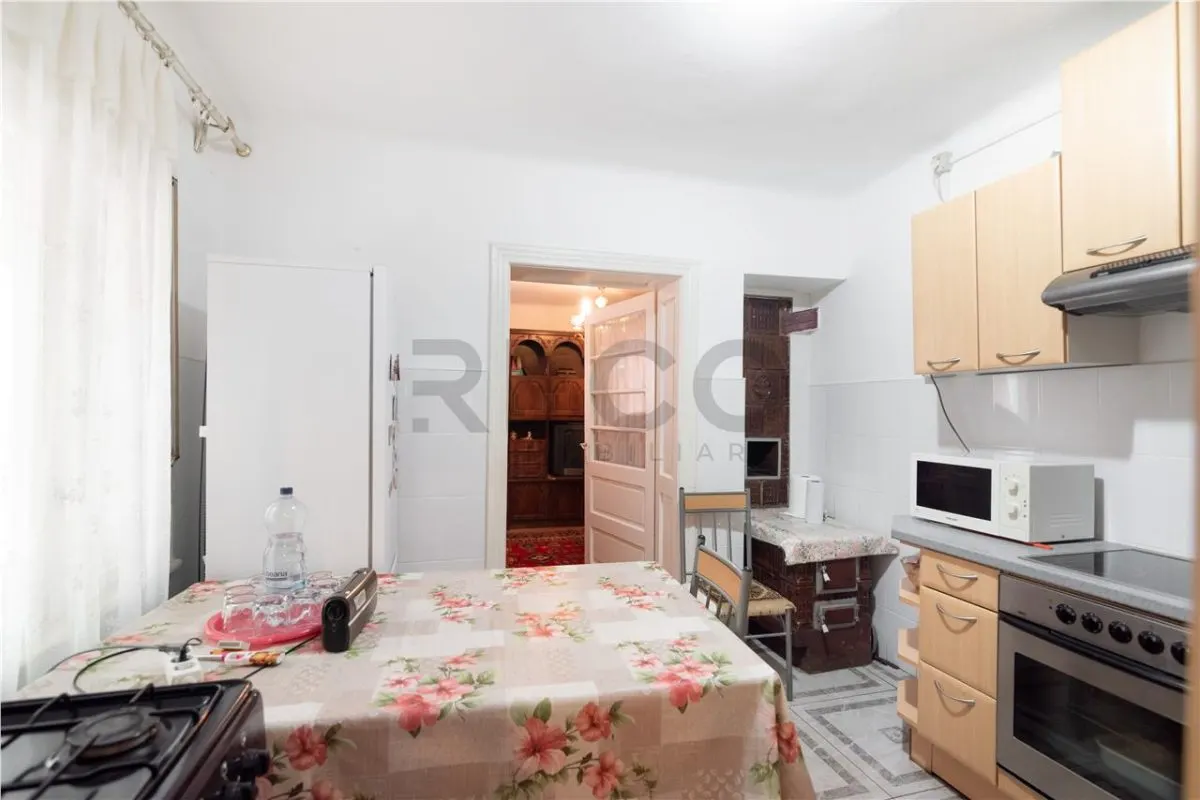RECO Teren mare cu 2 case si front la 2 strazi in Tamaseu - foto 14